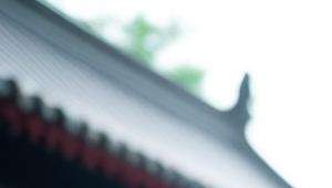 广济寺算命的大妈叫什么

