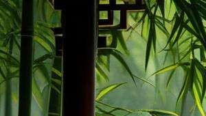 学好易经真的可以算命吗