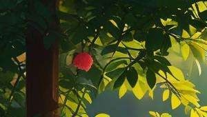 什么是八字看桃花算命