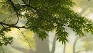 富人找算命大师怎么找