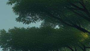 算命扎根怎么算的